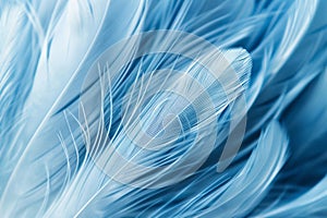 Ultra sharp close-up of abstract blue feathers texture, background for design