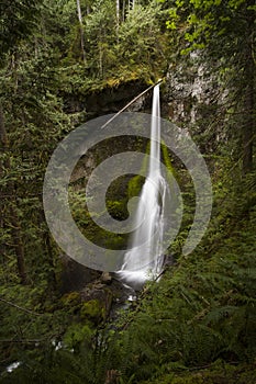 Ultra Wide Angle of Marymere Falls, Olympic National Park