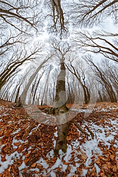 Široká panoráma