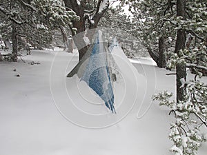 Ultralight Snow Camping photo