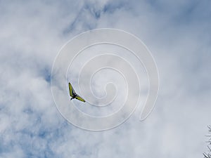 Ultralight trike flying with a pilot and a passenger