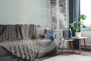 Ultrasonic cool mist humidifier