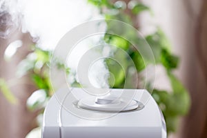 Ultrasonic humidifier in the house. Humidification. Vapor