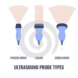 Ultrasound probe transducers set for sonography diagram photo