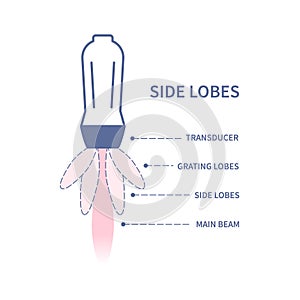 Ultrasound side lobe artifacts sonography diagram illustration