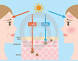 Ultravioleta rayos 