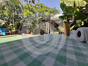 An ultrawide angle photo of a garden in Durban South Africa with some sunscreen and papert towel in the foreground and plants