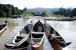 Ulu Tembeling National Park Malaysia