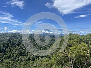 Ulu Temburong National Park Brunei South East Asia