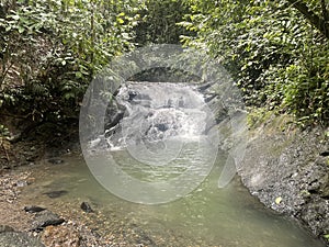 Ulu Temburong National Park Brunei South East Asia