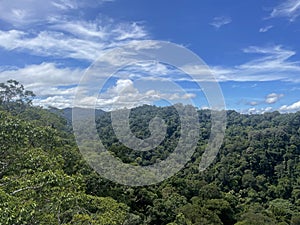 Ulu Temburong National Park Brunei South East Asia