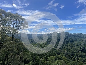 Ulu Temburong National Park Brunei South East Asia