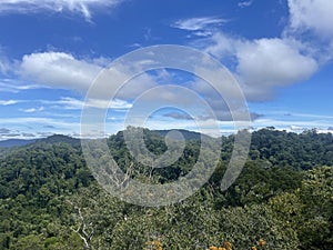 Ulu Temburong National Park Brunei South East Asia