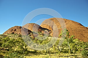 Uluru Ayers Rock Australia Ayers Rock, Uluru, glowing in evening sun, Outback, Australia.