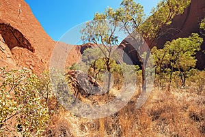 Uluru Ayers Rock, Northern Territory, Australia