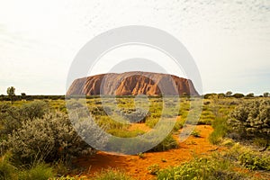 Uluru, Ayers Rock, Red Centre NT Australia photo