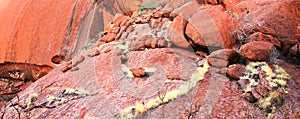 Uluru close up