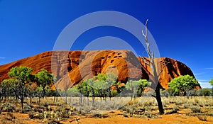 Uluru