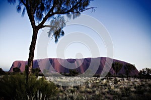 Uluru at Sunrise