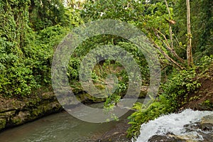 Uma Anyar waterfall, Bali, Indonesia. Jungle, forest, daytime with cloudy sky