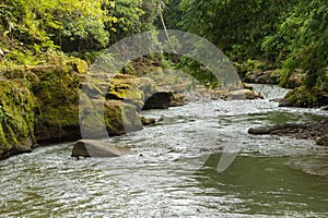 Uma Anyar waterfall, Bali, Indonesia. Jungle, forest, daytime with cloudy sky photo