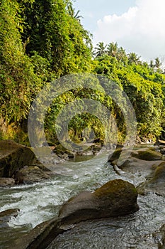 Uma Anyar waterfall, Bali, Indonesia. Jungle, forest, daytime with cloudy sky photo