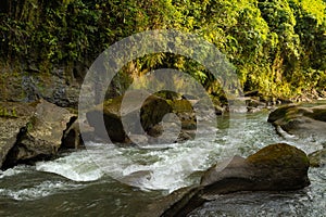 Uma Anyar waterfall, Bali, Indonesia. Jungle, forest, daytime with cloudy sky photo