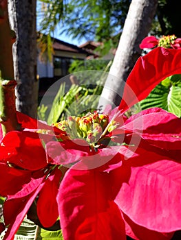 Uma cor que te encanta