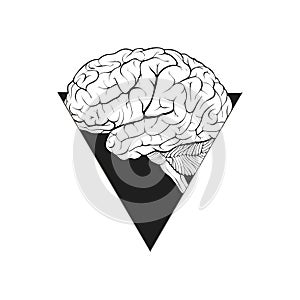 Ðuman brain in a triangular window abstract form