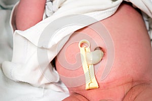 Umbilical cord of newborn baby