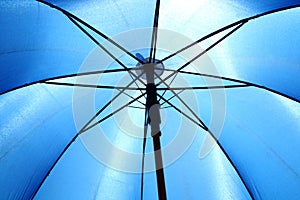 Umbrella