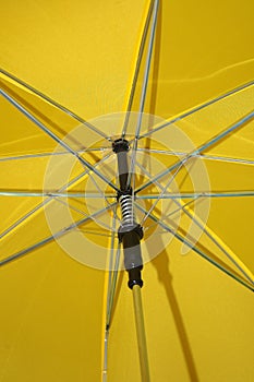 Umbrella