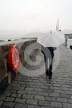 Umbrella as protection against rain