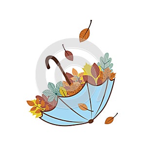 An umbrella with autumn leaves inside that fall into it, vector illustration of an autumn day