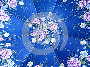 Umbrella Background
