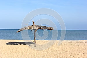 Umbrella on a beach