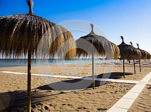 Umbrella, beach,sun,