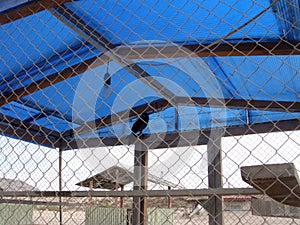 An umbrella on the beach to protect from the sun's rays. The bird has gone under the umbrella to protect itself from the sun. The