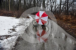 Umbrella and Bike Reflecting in the Water