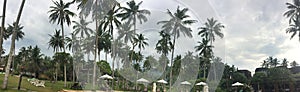 Umbrella and chaise lounges on a beach under palm. Bali