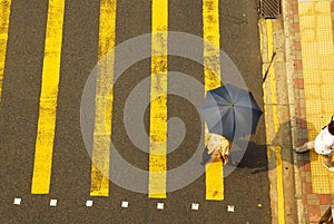 Umbrella Crossing 2