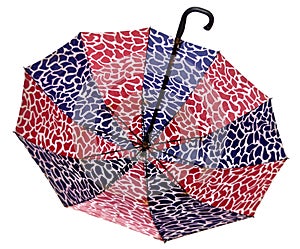 Umbrella Design