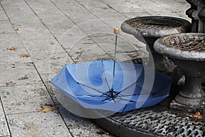 Umbrella and dry leaves on the street in Barcelona