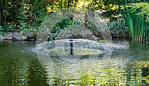 Umbrella Fountain on the emerald surface of the pond in the old shady garden. Freshness and coolness