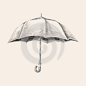 Umbrella hand drawn sketch vector illustration