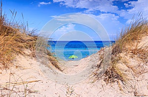 Umbrella isolated between sea dunes in Apulia, Italy.