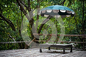 Umbrella in jungle forest on wooden surface