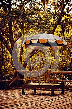 Umbrella in jungle forest on wooden surface