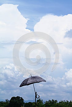 Umbrella