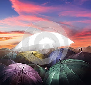 umbrella lights glowing standing out from crowd of dark umbrella